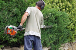 Entretien espaces verts à Vire